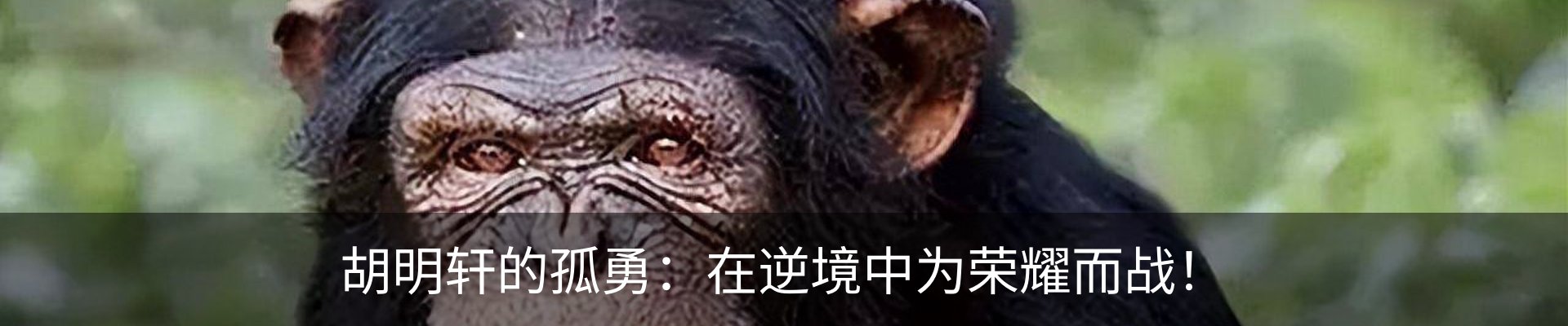 行业资讯